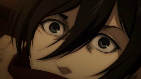 Assassin's Bullet